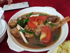 番茄炆红衫-蛇口康乐快餐鱼仔档(翠苑小区店)