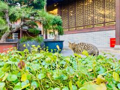 -普陀山风景名胜区-法雨禅寺