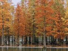 -白鹭湾湿地公园