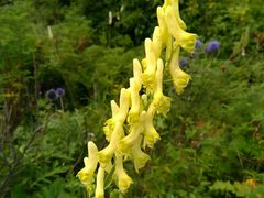 -白草畔自然风景区