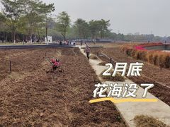 -长洲岛