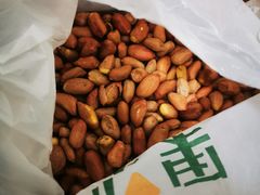 五香花生-树上坚果(瑞城店)