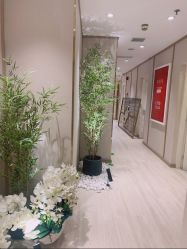 -HQ半永久纹绣纹眉