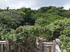 -鹅銮鼻公园