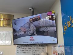 -全心全意连锁动物医院·微创中心·内科急重症·心脏专科(丰管路店)