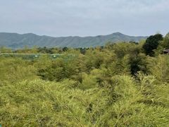 -陶祖圣境风景区