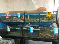 -渔民船说·北塘海鲜·天津菜·海肠捞饭(北塘古镇店)