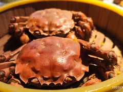 -桂满陇天书(南京德基旗舰店)