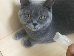 -瑞派宠物医院·24h·骨外科·皮肤科·全科宠物医疗转诊中心(沈阳浑南院)