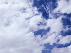 -涉地可支
