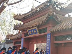 -桃花堤公园