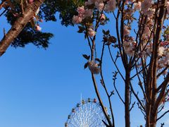 -观澜湖生态运动公社