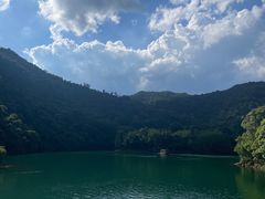 -鼎湖山风景区