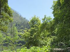 -广州市石门国家森林公园