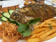 -ELI FALAFEL Lebanese&Mediterranean黎巴嫩美食(富城路店)