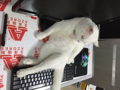 艾泽瑞斯图文设计-艾泽瑞斯图文快印打印复印证件照设计名片画册(艾泽瑞斯打印复印洗照片店)