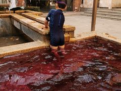 -春晖园度假酒店温泉