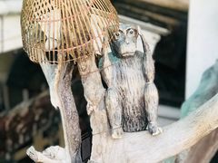 -自然餐厅(Phuket)