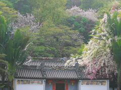 -深圳国际园林花卉博览园