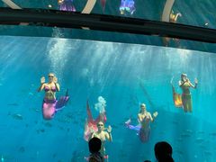 -瑞德姆美人鱼海底演艺主题餐厅(亚龙湾店)