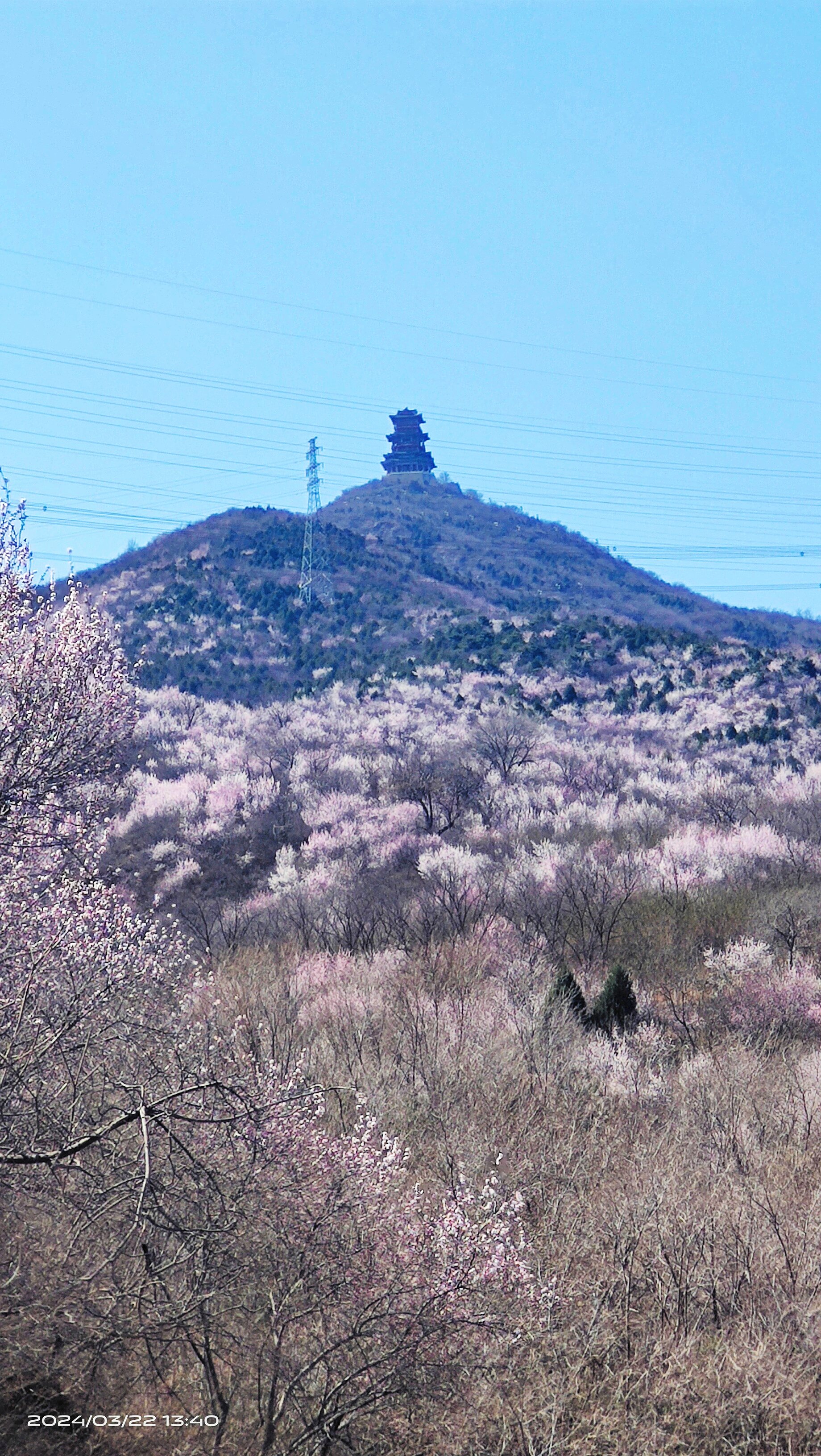 春山