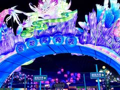 -海合安武汉极地海洋公园