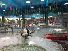 -栾川竹海野生动物园