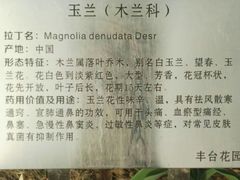 -丰台花园