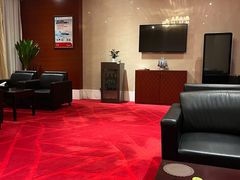 -郑州新郑国际机场T2航站楼-贵宾厅B区