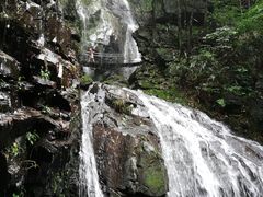 -藏龙百瀑风景区