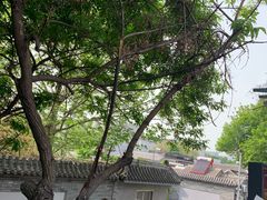 -Santoor 萨都里印度餐厅(北锣鼓巷店)