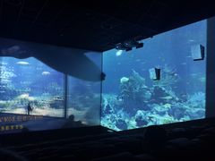 -英皇电影城(英皇集团中心IMAX店)