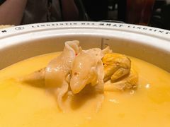 领鲜花胶鸡汤-领鲜天下·焗海鲜·花胶鸡(天目里店)