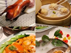 -桂满陇·海市蜃楼·黑金(国金店)