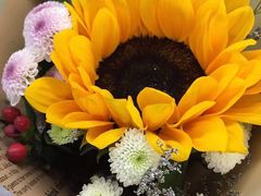 -循礼门鲜花花市(武汉循礼门店)