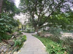 -成都市活水公园