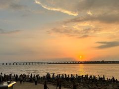 -宝安西湾红树林湿地公园