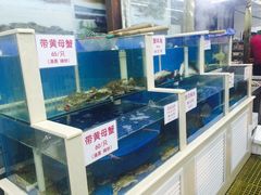 水产区-天津乾毓德饭庄·清真传统炒菜·海鲜烧烤(咸阳路店)