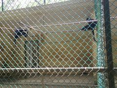 -广东茂名森林公园