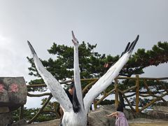 -罗田薄刀峰风景区