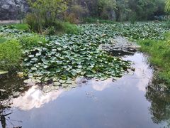 -武汉姚家山旅游景区
