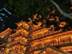 -大佛寺高级素食自助餐厅