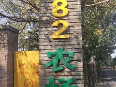 -1982农场