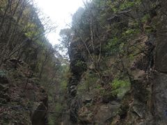 -黑河国家森林公园