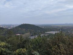 -上海佘山国家森林公园西佘山园