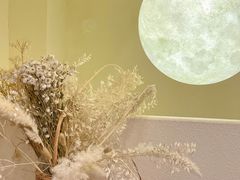 -伊斯坦布尔土耳其清真咖啡餐厅