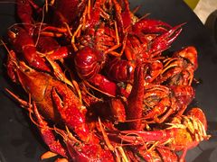 招牌龙虾-沪小胖小龙虾(淮海中路旗舰店)