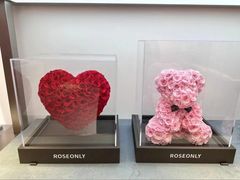 -ROSEONLY诺誓(广州K11店)