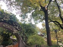 -申粤轩酒楼·三十年粤菜经典(丁香花园店)