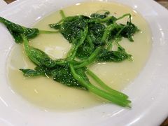 炒豌豆尖-雨田饭店(华兴东街店)